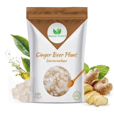 Zakje ginger beer plant van Natural Probio