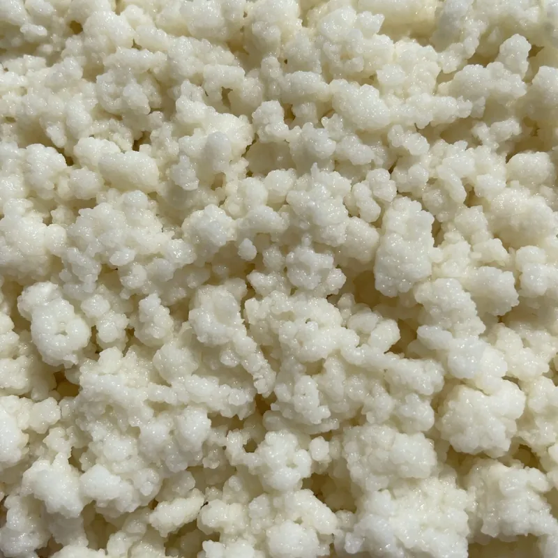 Melkkefir korrels